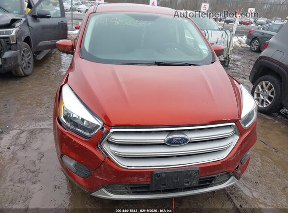 1FMCU9GD2KUC18222 2019 FORD ESCAPE Красный 