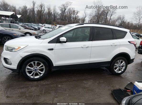 1FMCU9GD5HUC70498 2017 FORD ESCAPE Белый Вид задней части салона