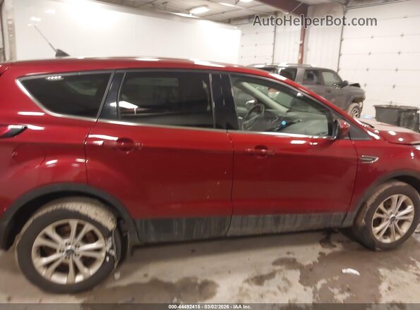 1FMCU9GD7KUA40811 2019 FORD ESCAPE Burgundy 