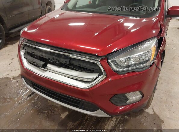 1FMCU9GD7KUA40811 2019 FORD ESCAPE Burgundy 