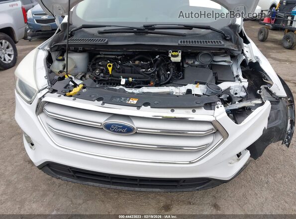 1FMCU9GD9KUB65325 2019 FORD ESCAPE White 