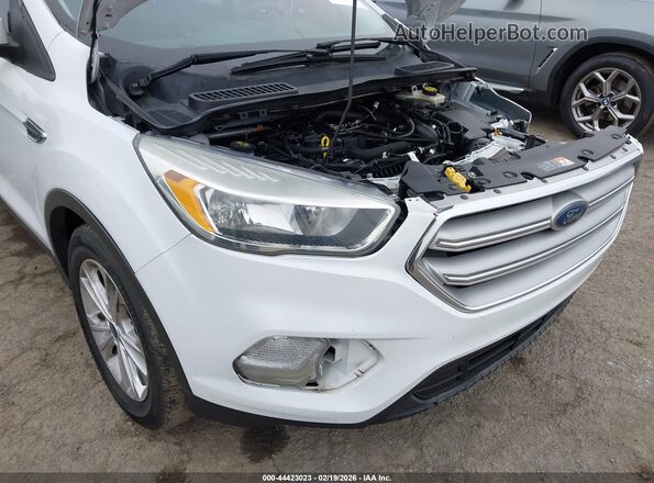 1FMCU9GD9KUB65325 2019 FORD ESCAPE White 