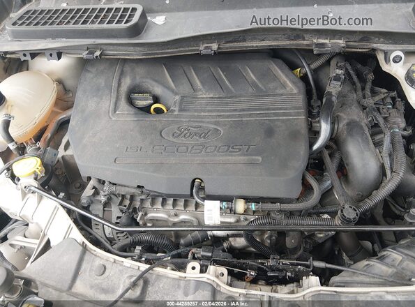 1FMCU9HD4JUB50132 2018 FORD ESCAPE Champagne Vista trasera
