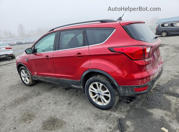 1FMCU9HD9KUA10367 2019 FORD ESCAPE Красный 