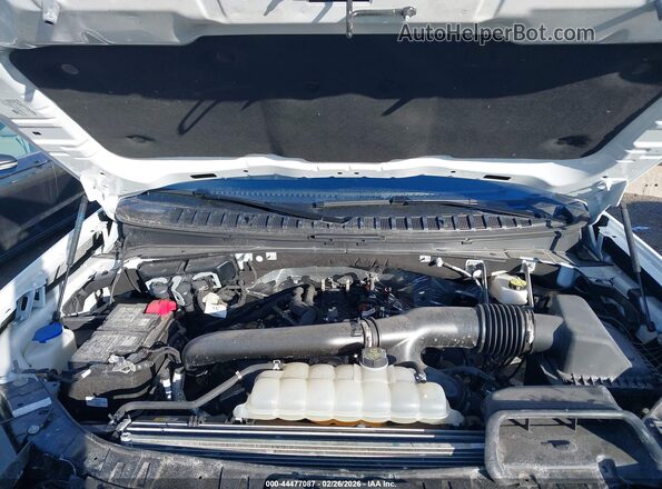 1FMJK1M83SEA28011 2025 FORD EXPEDITION Белый Вид сзади