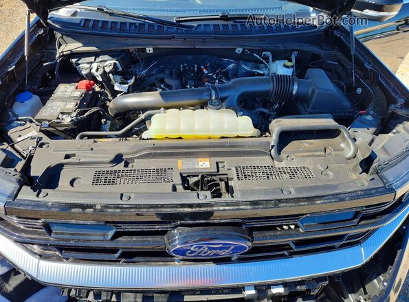 1FMJK1M89SEA36730 2025 FORD EXPEDITION Черный 