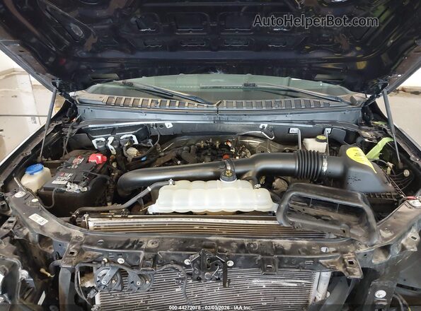1FMJK2A82PEA54343 2023 FORD EXPEDITION Черный 