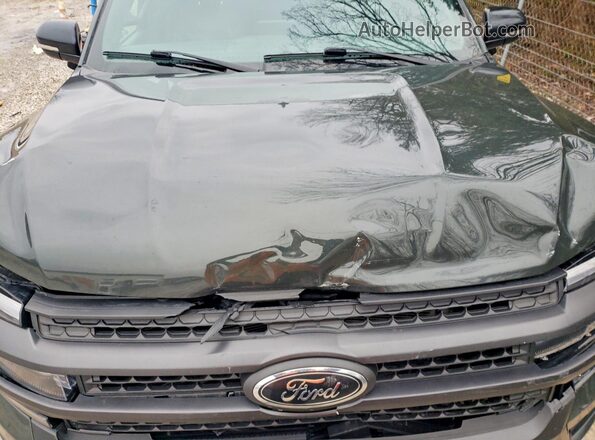 1FMJU1RG4PEA07685 2023 FORD EXPEDITION Угольный Вид подкапотного пространства