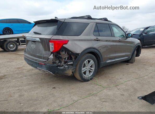1FMSK8DH1MGB34350 2021 FORD FORD EXPLORER Dark Brown Задня права чверть