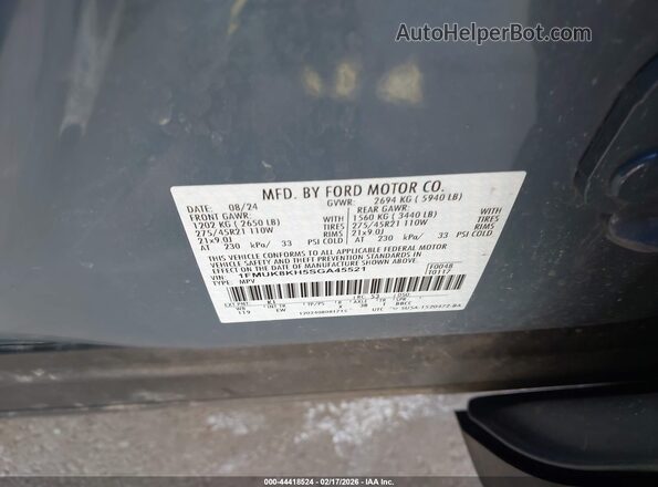1FMUK8KH5SGA45521 2025 FORD FORD EXPLORER Blue Widok komory silnika