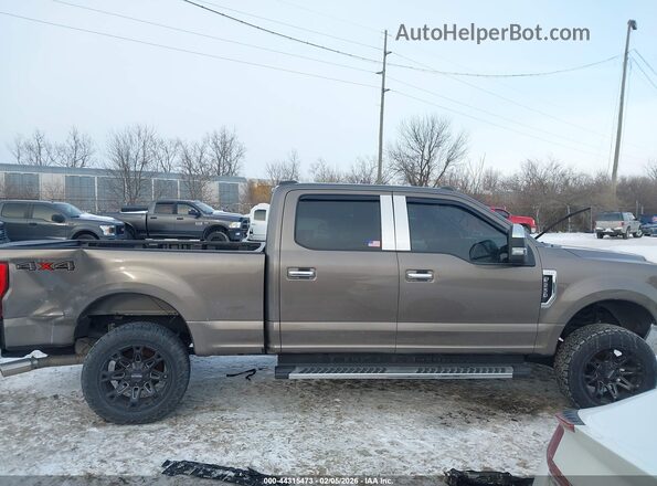 1FT7W2B64LED05857 2020 FORD F-250 Gray Սալոնի հետևի տեսք