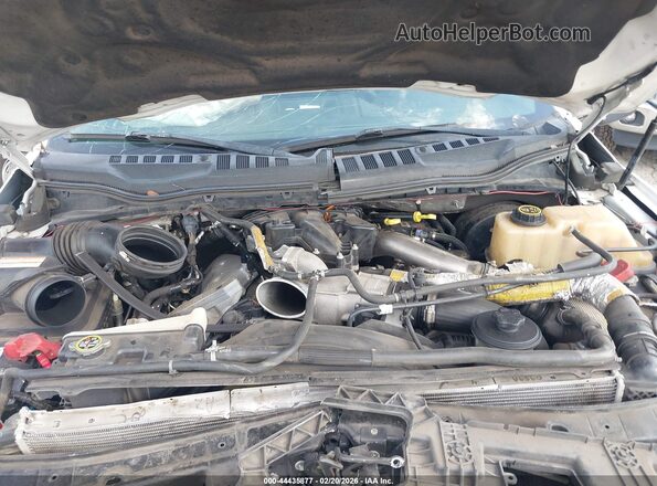 1FT7W2BT9HED99800 2017 FORD F-250 White 
