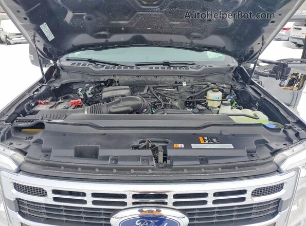 1FT7X2BN2TEC95074 2026 FORD F250 Gray Սալոնի հետևի տեսք