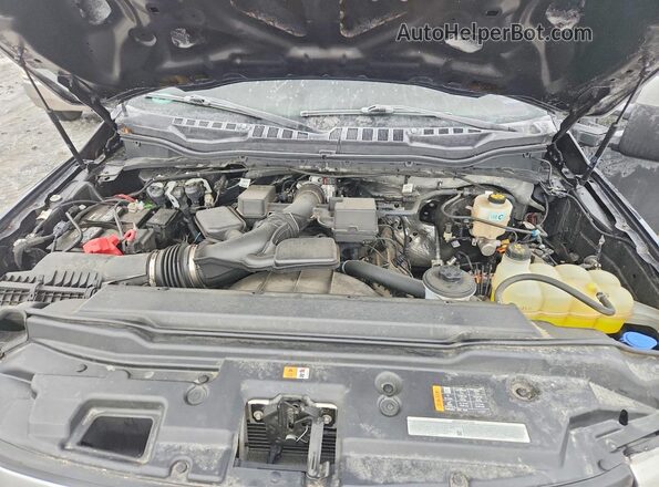 1FT7X3B61NEF71083 2022 FORD F350 Black უკანა სალონის ხედი