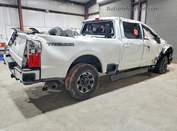 1FT8W2BM7RED78328 2024 FORD F250 White 