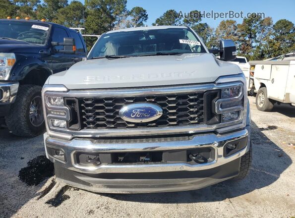 1FT8W4DM7SED33324 2025 FORD F450 Gray Widok z przodu