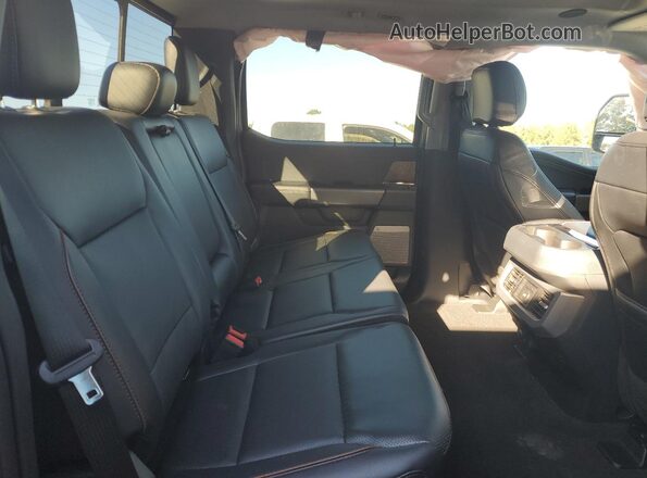 1FT8W4DM7SED33324 2025 FORD F450 Gray Widok tylnych siedzeń