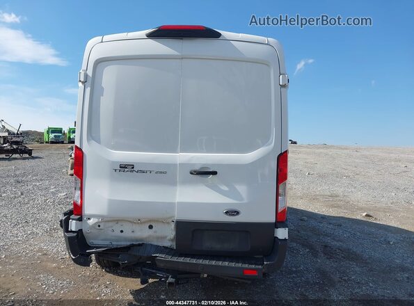 1FTBR1C80PKB51084 2023 FORD TRANSIT-250 White 