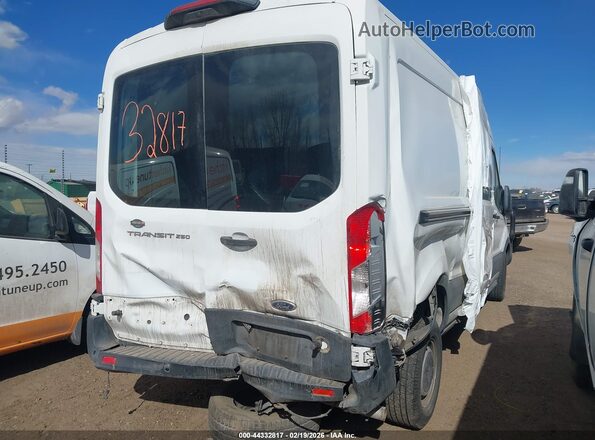 1FTBR1C85LKB00089 2020 FORD TRANSIT-250 White Trasero derecho