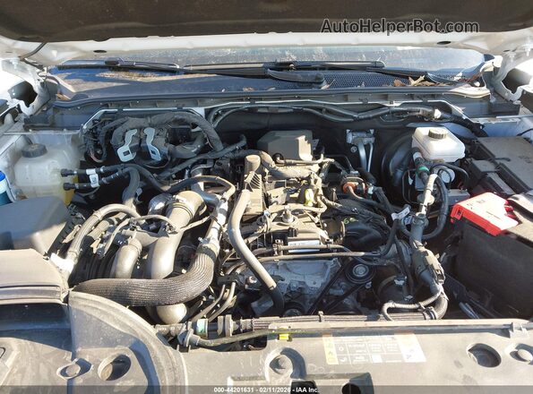 1FTER4BH8RLE24382 2024 FORD RANG White Widok z tyłu