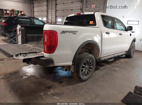 1FTER4FH3PLE11868 2023 FORD RANG White Tył prawy