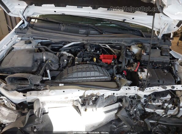 1FTER4FH3PLE11868 2023 FORD RANG White Widok z tyłu