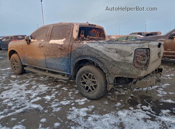 1FTER4HH0RLE34346 2024 FORD RANG Blue Հետևի ձախ