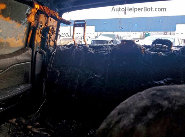 1FTER4HH0RLE34346 2024 FORD RANG Blue Հետևի նստատեղերի տեսք