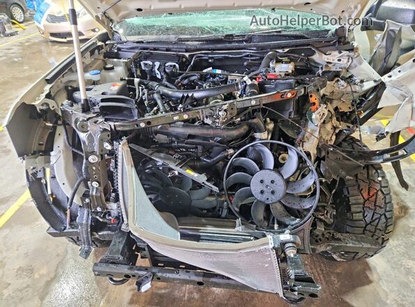 1FTER4HPXSLE41785 2025 FORD RANG Cream უკანა სალონის ხედი