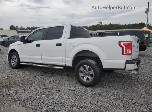 1FTEW1CF7HFC35983 2017 FORD F150 White Հետևի ձախ