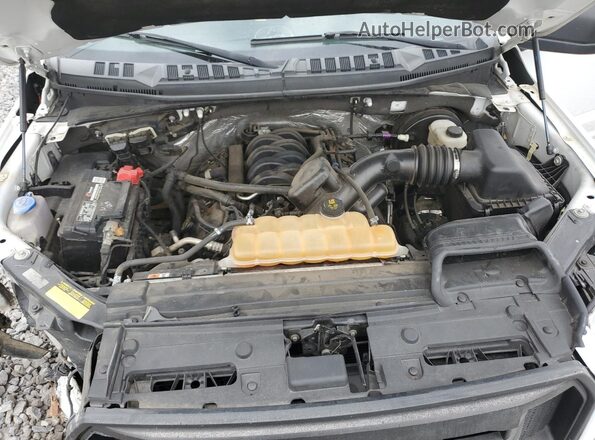 1FTEW1CF7HFC35983 2017 FORD F150 White Սալոնի հետևի տեսք