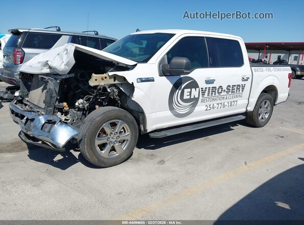 1FTEW1CP0KKF31970 2019 FORD F150 White 