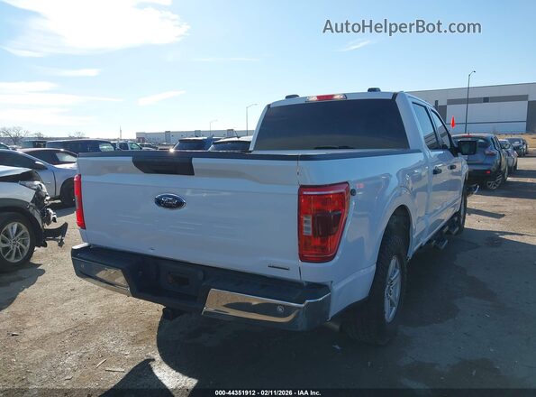 1FTEW1CP8PKD24878 2023 FORD F150 White უკანა მარჯვენა