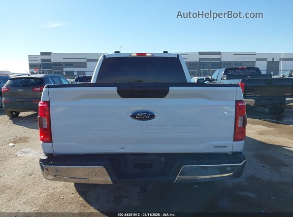 1FTEW1CP8PKD24878 2023 FORD F150 White 