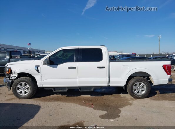 1FTEW1CP8PKD24878 2023 FORD F150 White 
