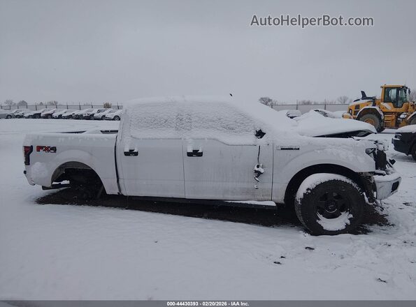 1FTEW1E57KKD51266 2019 FORD F150 White 