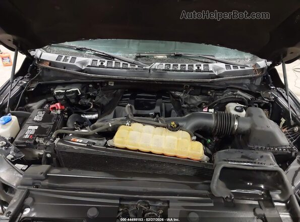 1FTEW1EP6GFB89888 2016 FORD F150 Gray Հետևի տեսք