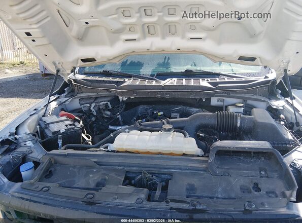1FTEW2LP9RFB37165 2024 FORD F150 Gray 
