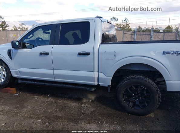 1FTEW2LP9RFB37165 2024 FORD F150 Gray 