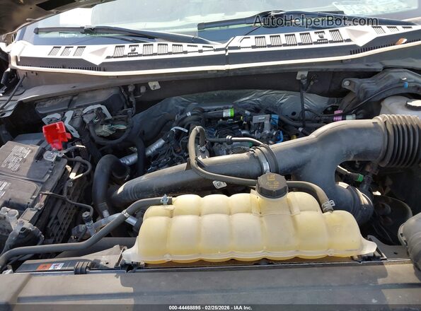 1FTEX1EP1LFA61405 2020 FORD F150 Gray Вид ззаду