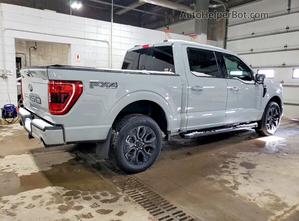 1FTFW1E55PFC97650 2023 FORD F150 Серебряный Задняя правая четверть