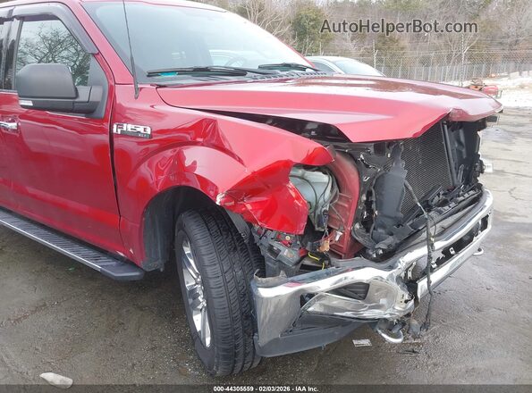 1FTFW1E56JFE55193 2018 FORD F150 Red 