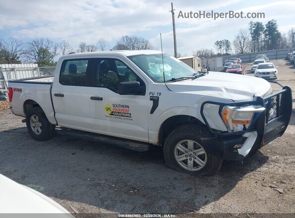 1FTFW1E56NFA03427 2022 FORD F150 White Widok wnętrza z tyłu