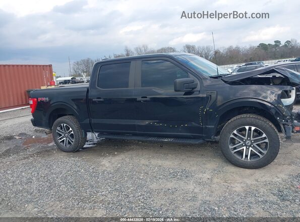 1FTFW1E56PFA48547 2023 FORD F150 Черный Вид задней части салона