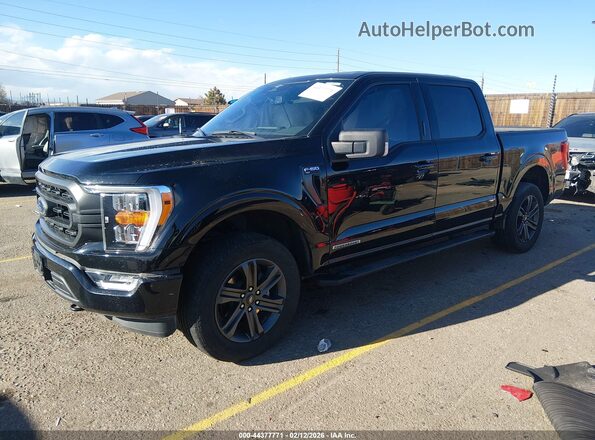 1FTFW1ED8PFB64629 2023 FORD F150 Black 