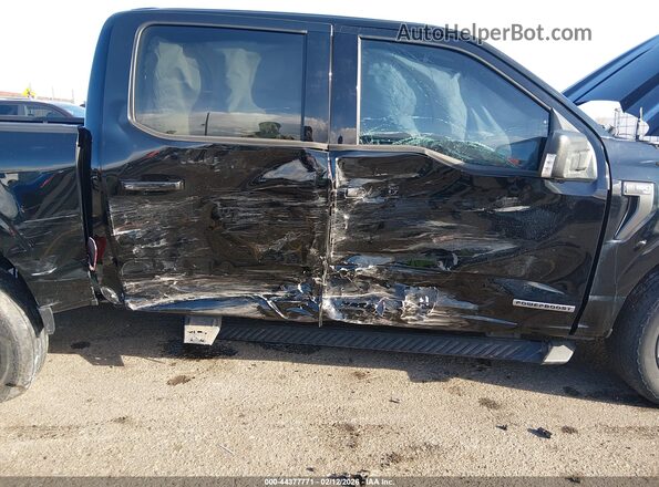 1FTFW1ED8PFB64629 2023 FORD F150 Black 