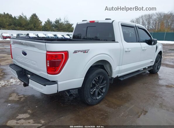 1FTFW1ED9MFB25575 2021 FORD F150 White 