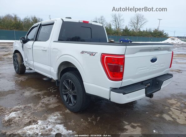 1FTFW1ED9MFB25575 2021 FORD F150 White 