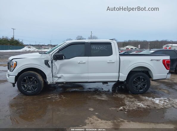 1FTFW1ED9MFB25575 2021 FORD F150 White 