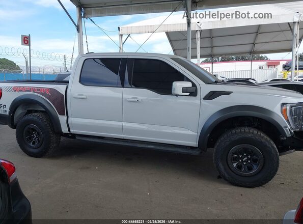 1FTFW1RG3PFB97168 2023 FORD F150 White Սալոնի հետևի տեսք